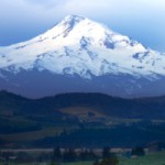 Oregon-Realty-Portland-Agents Portland Agents with Oregon Realty Co
