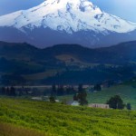 Portland Real Estate Short Sales Portland Oregon Real Estate Short Sales