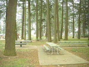 mount-scott-real-estate Real Estate Mount Scott Park